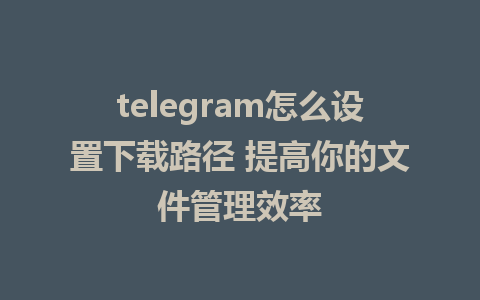 telegram怎么设置下载路径 提高你的文件管理效率